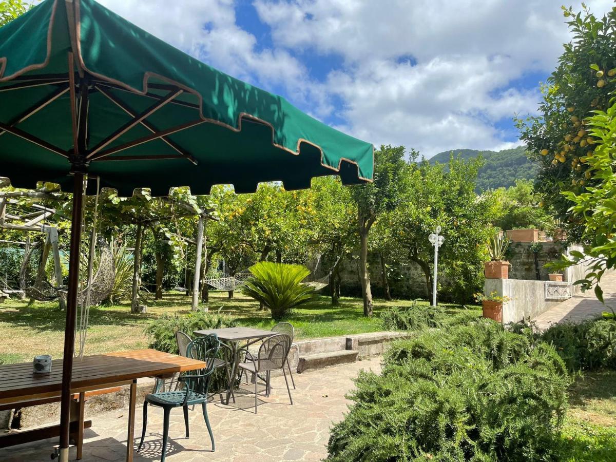 Casa Sorrento, Immerso Nel Verde A Pochi Passi Dal Centro Exterior photo